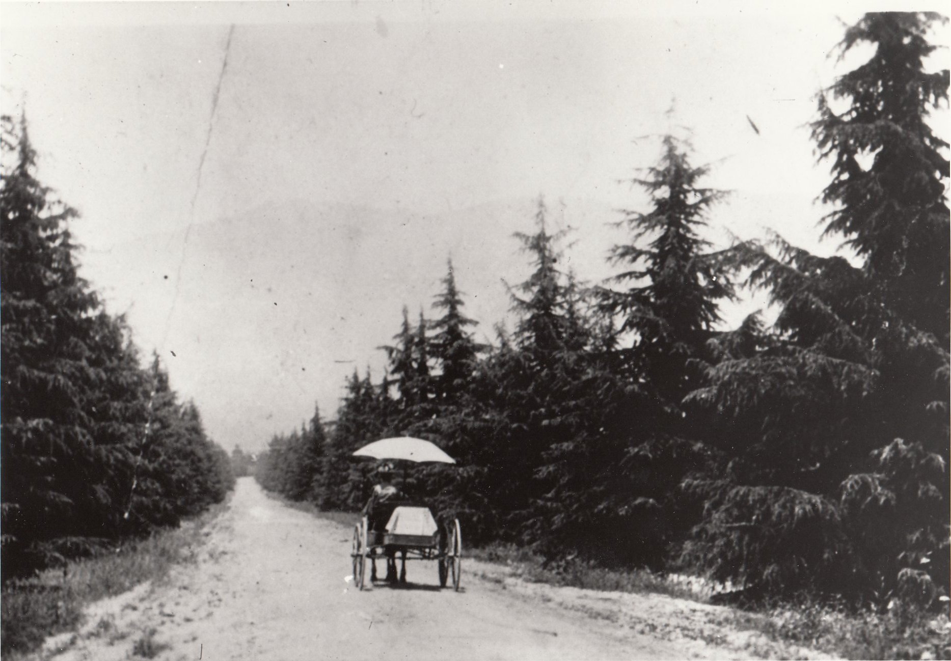 Carriage